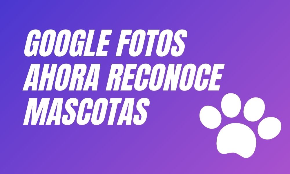 Google Photos se actualiza, ahora reconoce a tus mascotas