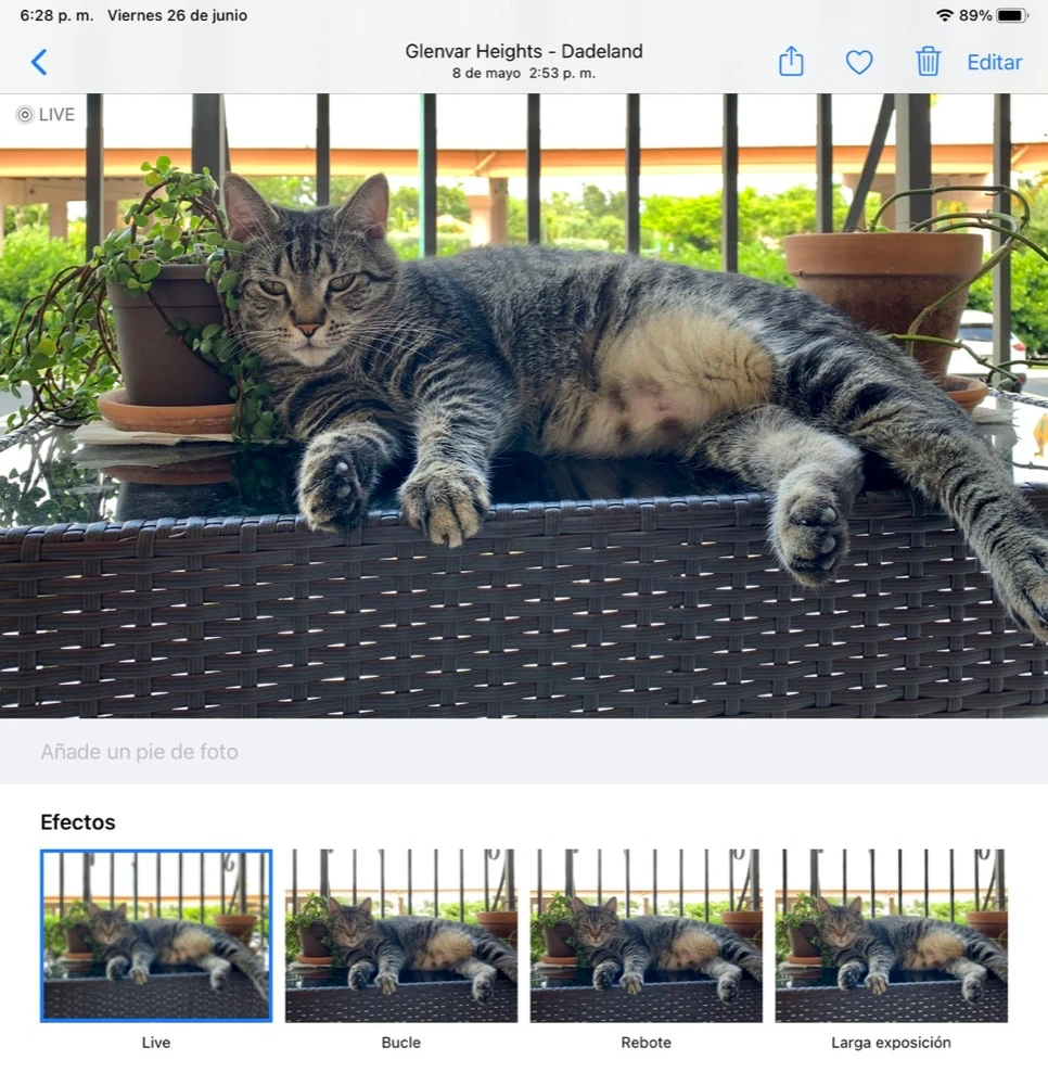 Campo de pie de foto en la app Fotos de iPadOS 14
